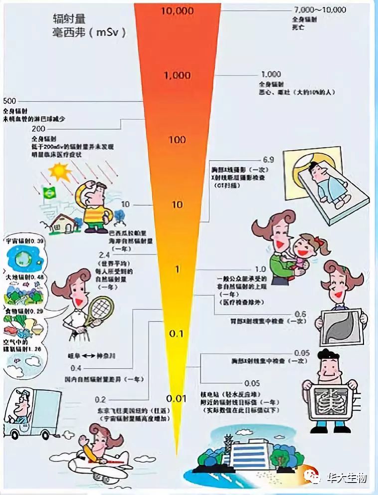 廣州食品輻照
